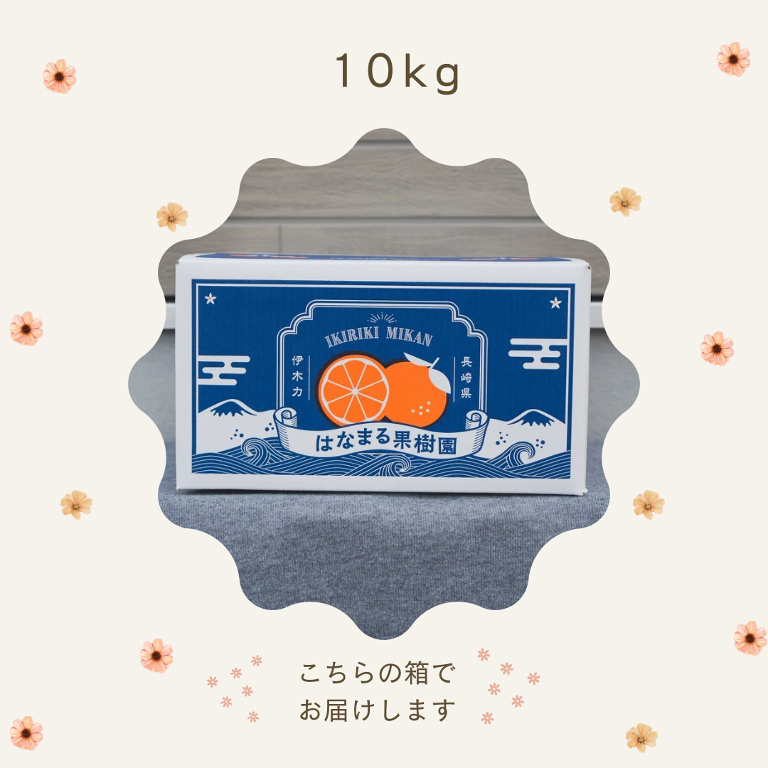 家庭用みかん 【10kg】 | はなまる果樹園
